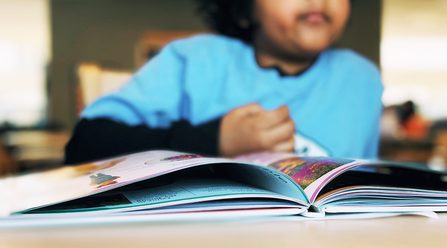 livro didático